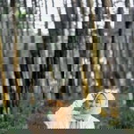 Debiiy Ar profile icon