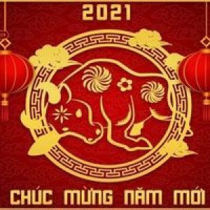 Ly Nguyễn profile icon