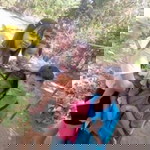 Mây Trắng(Mẹ ORI) profile icon