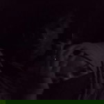 Hesti Kurniasih profile icon