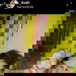 Ani Denzthea profile icon