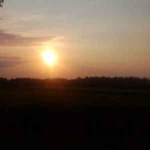 ::bintu saidan:: profile icon