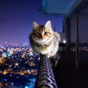 Kaminah profile icon