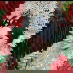 Rahmiani Muin profile icon