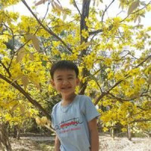 Bùi Hân profile icon