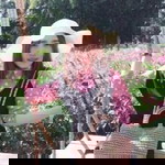 นางร้าย หน้าหวาน profile icon