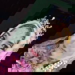 Sofia Ningrum profile icon