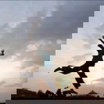 Umi Fatchiatun N profile icon