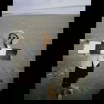 Yana Kurniasih profile icon