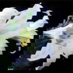 Nia Nia profile icon