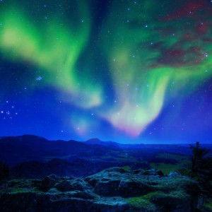 Fiqih Arizni profile icon