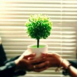 Sukmaning profile icon