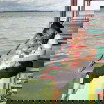 Natnaree Natnaree profile icon