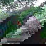 Kotchakorn Sah profile icon