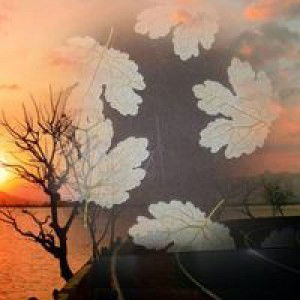 Evi Yulita profile icon