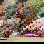 Ketut Wikayani profile icon