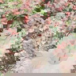 Trần Tuyền profile icon