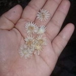สี่พี่น้อง ภูมิใจนำเสนอ profile icon