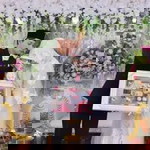 Nurulhidayahnew profile icon