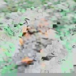 Dwick Dwegt profile icon