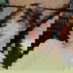 Chalinn profile icon