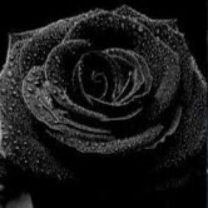 nevha dc profile icon