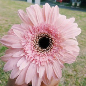 tanssa matondang profile icon