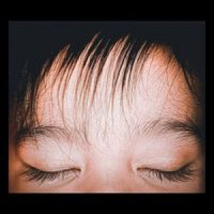 Indah Prandini Asaswy profile icon