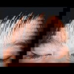 Indah Prandini Asaswy profile icon