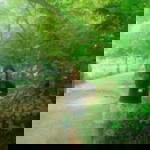 Siska Tambunan profile icon