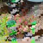 มุ ทิ ตา. profile icon