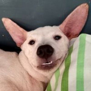 Margarita Ricohermoso profile icon