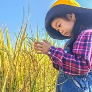 อองตอง ภิญญาพัชญ์ profile icon