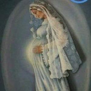 Minh Phượng profile icon