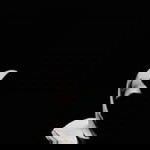 Maya Kifti Agustina profile icon