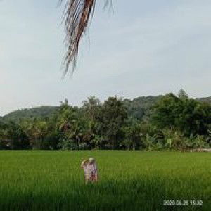 Amalia Kamilah profile icon