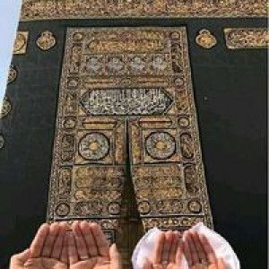 حسنة الفاضل profile icon