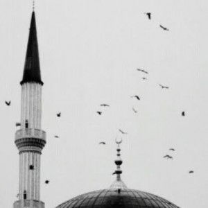 Rara Rengganis profile icon