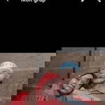 Mbh Sagi profile icon