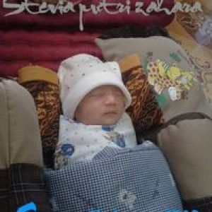 Vivi Eyp profile icon