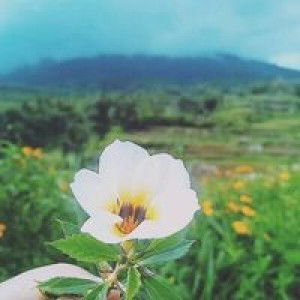 Lusi Nasevalni profile icon