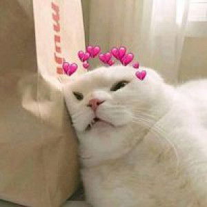 Desi Anandha profile icon