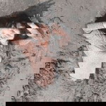Lyda Irinco profile icon