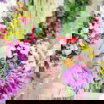 Ika Rohmatin Nuzula profile icon