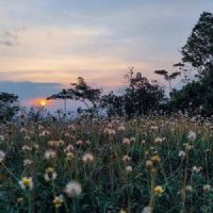 Ros Rosyidah profile icon