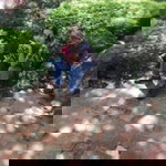 Wannida Phongwiset profile icon