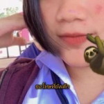 ฝ้าย หลวย. profile icon