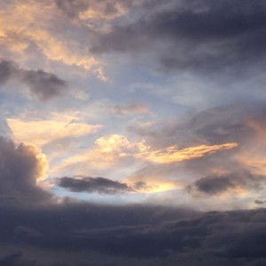 Giang Tran profile icon