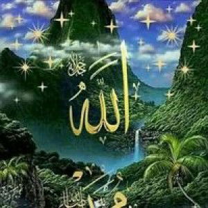 Indry Tongkotow profile icon