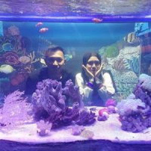 Narendra Insan Duhita profile icon